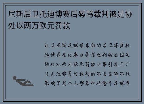 尼斯后卫托迪博赛后辱骂裁判被足协处以两万欧元罚款 尼斯后卫托迪博赛后辱骂裁判被足协处以两万欧元罚款